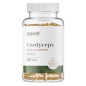 Специальный препарат OstroVit Cordyceps VEGE 60 капсул